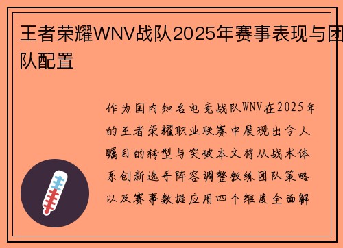 王者荣耀WNV战队2025年赛事表现与团队配置